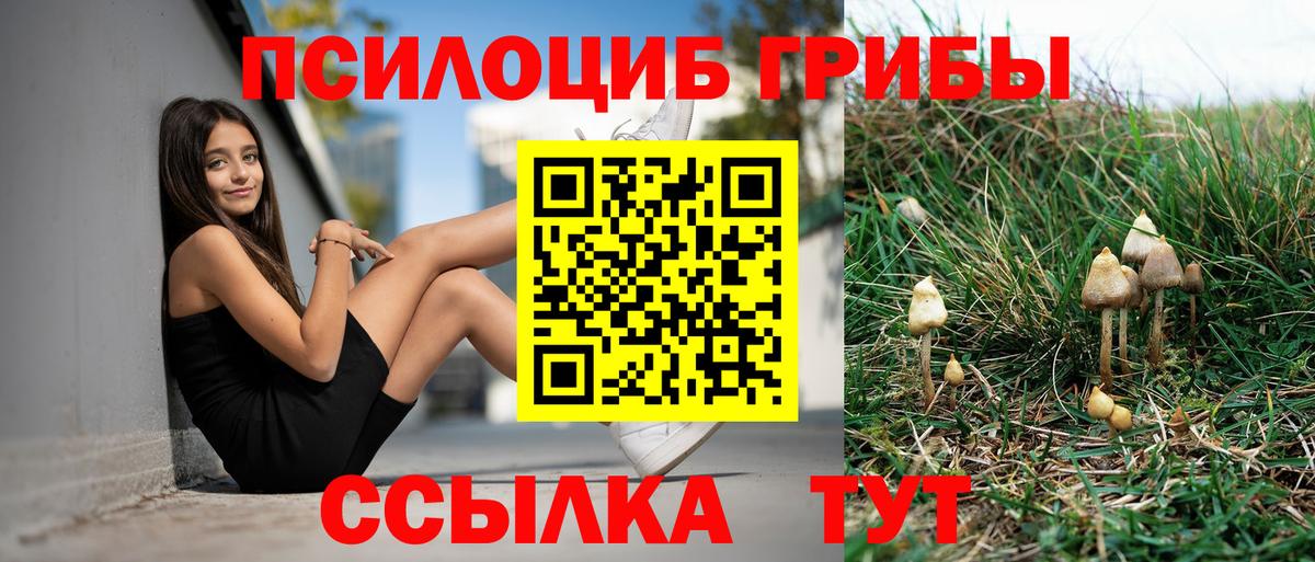 Свободный  Вход с VPN  Меф МЯУ МЯУ   Cocaine  Гашиш  А ПВП СОЛЬ   Каннабис  ГАШИШ  МЕТ 